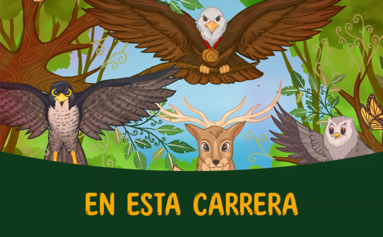 Slide espanol BYC 1