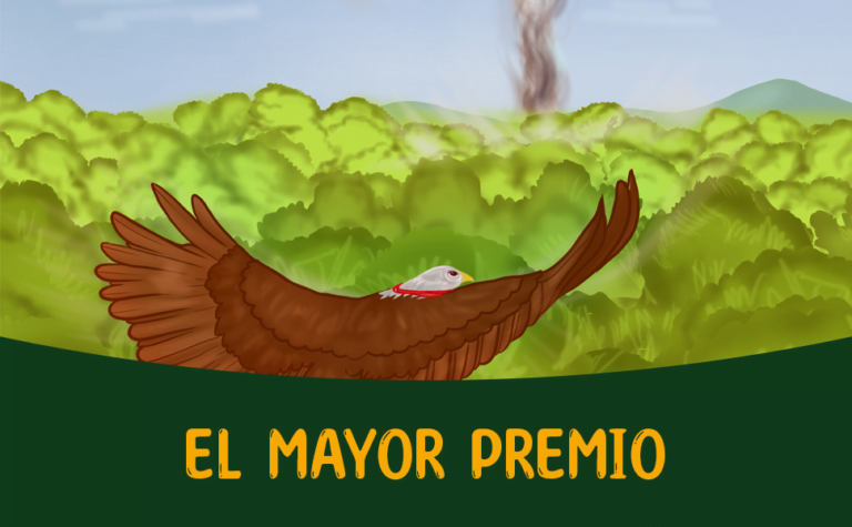 Slide espanol BYC 2